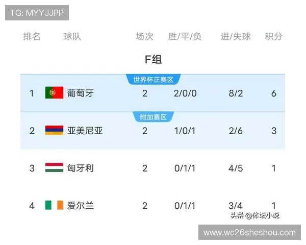 2024年欧洲区预选赛积分榜详细数据统计与排名走势分析