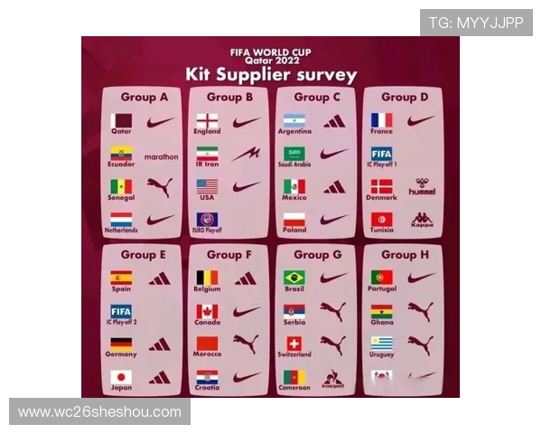 2026年世界杯名额分配的详细流程与各大洲的名额比例变化趋势分析