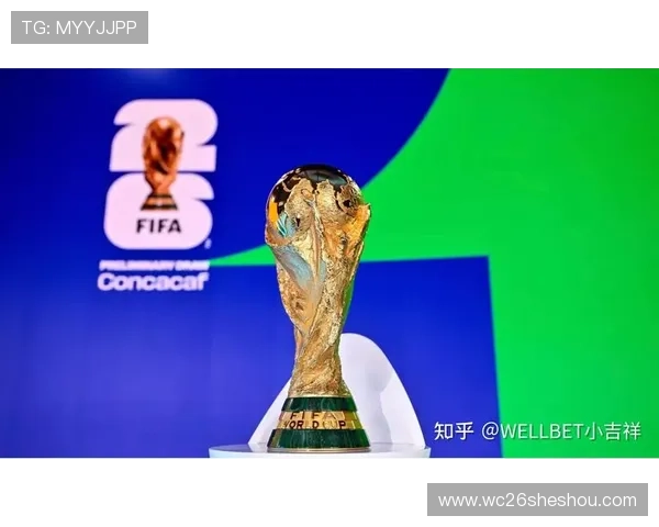 2026年世界杯足球赛门票购买指南，如何抢到心仪比赛的最佳座位