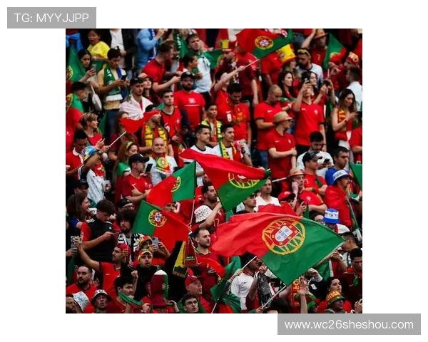 历届世界杯四强与冠军名单全解析，带你了解足球盛事的荣耀时刻