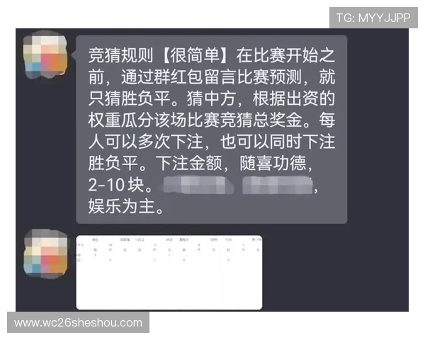 2026年世界杯投注规则全攻略，详细介绍各大投注方式与注意事项