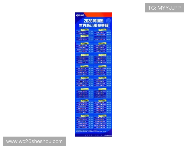 2026年世界杯已经出线国家名单全解析，帮助球迷了解各队晋级的关键因素与比赛亮点