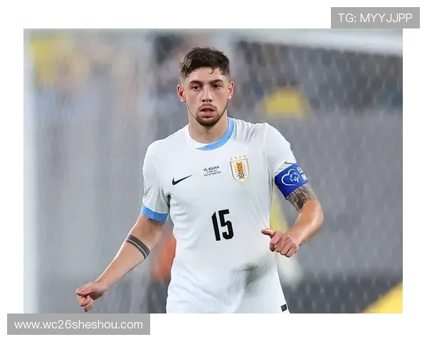 欧洲世界杯预选赛赛程及积分榜最新排名全景图，帮助足球爱好者掌握比赛最新动态