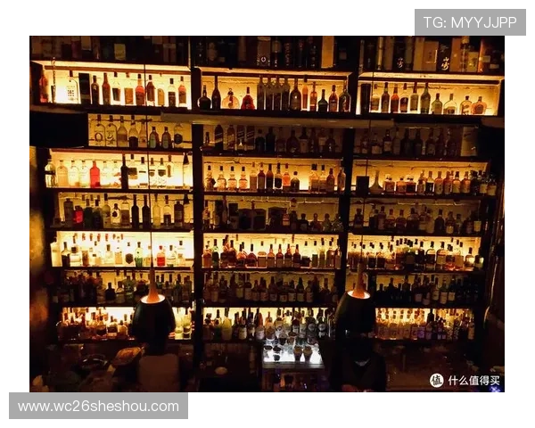 世界杯瑞典VS日本比赛酒吧观看推荐及现场氛围全攻略 世界杯瑞典VS日本比赛酒吧观看推荐及现场氛围全攻略