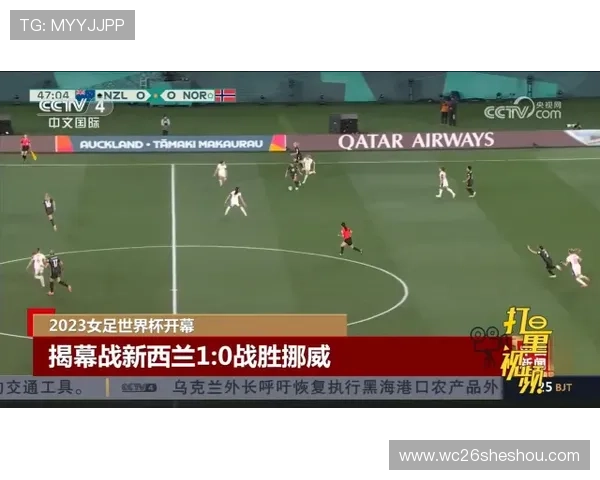世界杯新西兰VS比利时比赛的战术对决与比赛走势专家深度分析