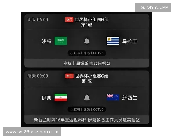 伊朗对新西兰比赛官方直播平台推荐指南,助力球迷轻松获取世界杯直播资源